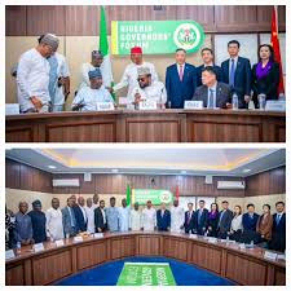 Governors Sign MoU With Chinese Energy Giant To Drive Electricity Reform