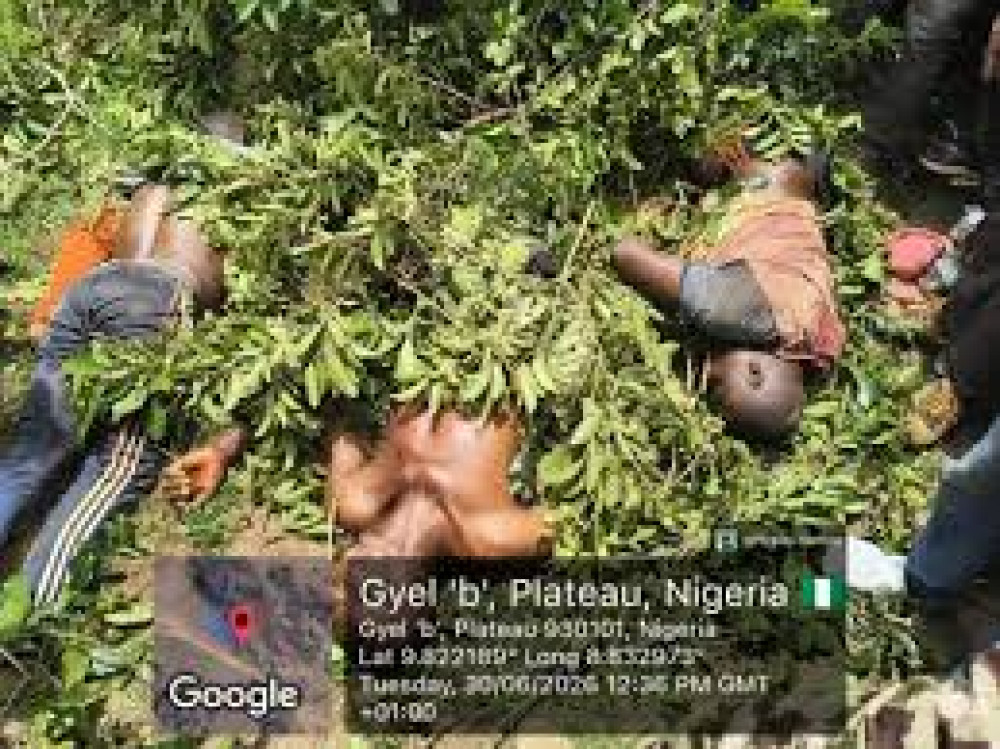Gunmen Kill Three, Injure Two at Plateau Illegal Mining Site