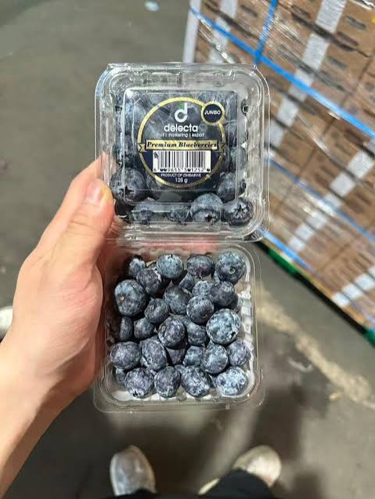 Zimbabwe Targets $400 Million in Blueberry Exports to China