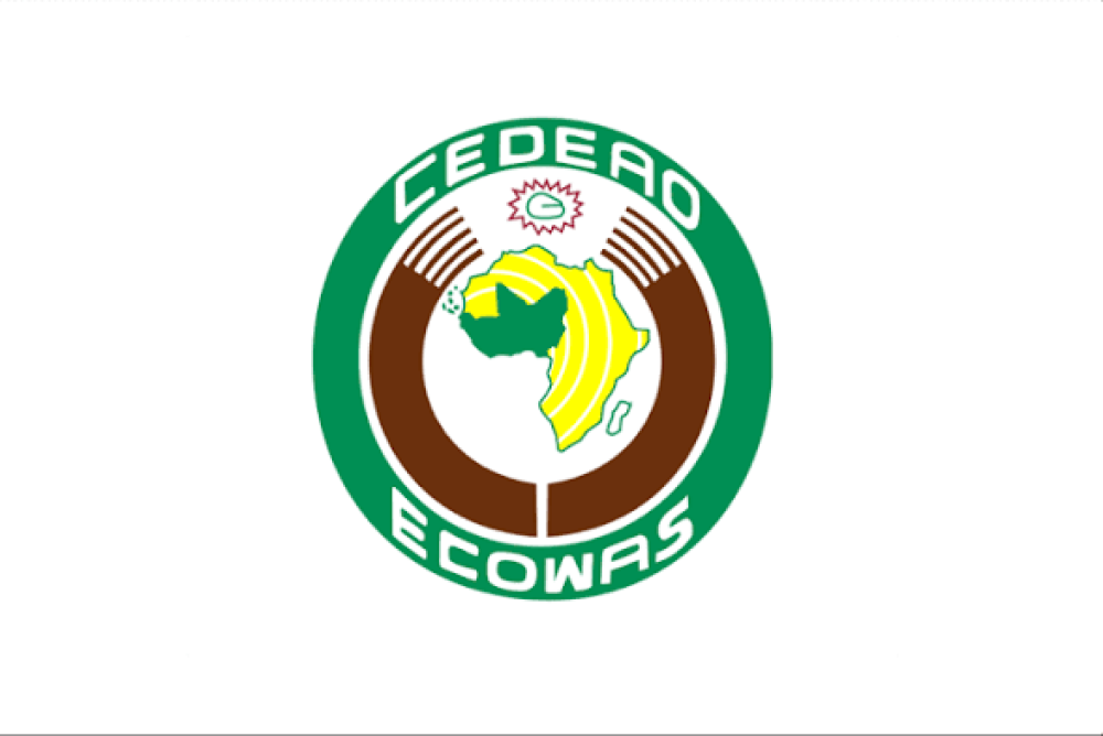 ECOWAS Advocates for More Jobs to Tackle Irregular Migration