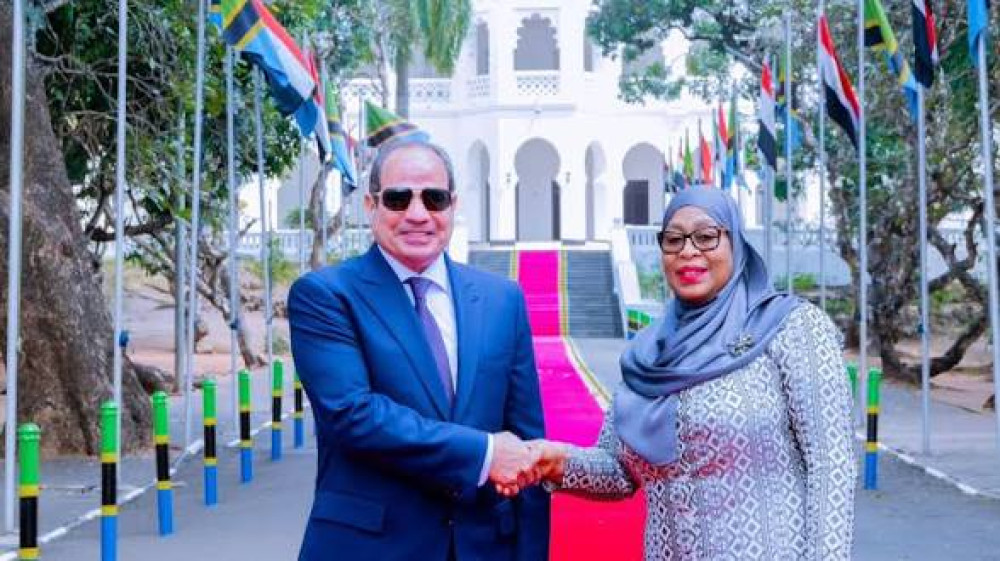 Egypt Plans Link to Tanzania's Ports, Railways in East Africa Investment Drive