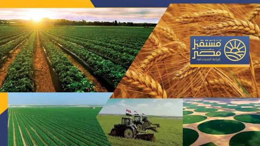 Egypt's Military Boosters Agricultural Interest with New Authority