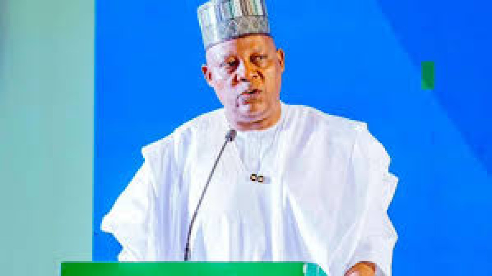 Shettima Urges African Countries to Add Value to Mineral Resources
